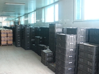 中興紅高梁總廠